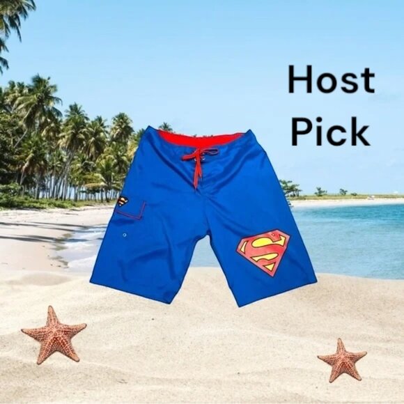DC COMICS Superman Men's Swim Trunks Size Large DC Comics Bathing Suit - Picture 1 of 11